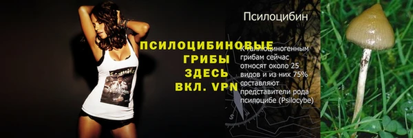 a pvp Алексеевка