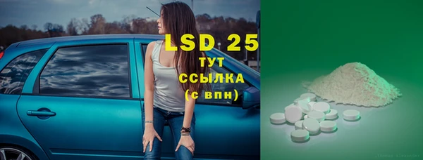 ECSTASY Алзамай