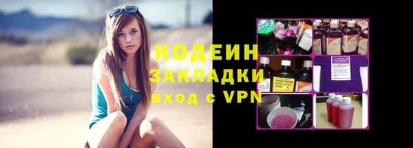 ECSTASY Алзамай
