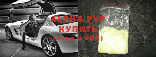 СК Алексин