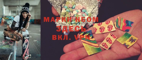 СК Алексин