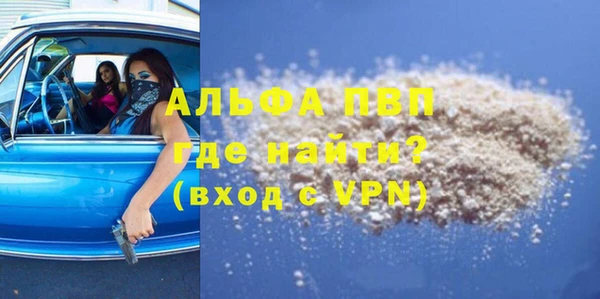 СК Алексин