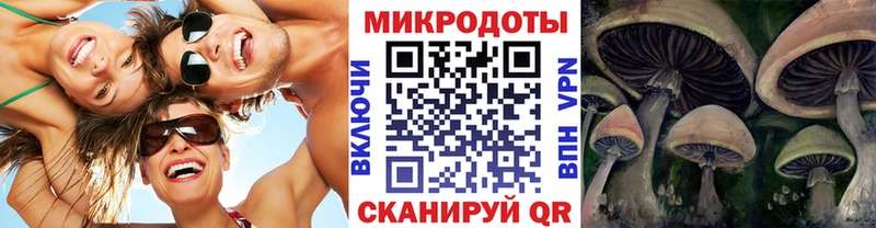 Галлюциногенные грибы ЛСД Качканар