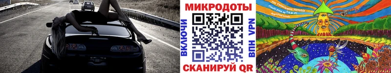 купить наркотик  Качканар  MEGA ссылка  Псилоцибиновые грибы Psilocybine cubensis 