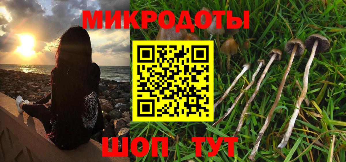 Галлюциногенные грибы мицелий  купить наркоту  Качканар  Вход с VPN  Галлюциногенные грибы MAGIC MUSHROOMS 