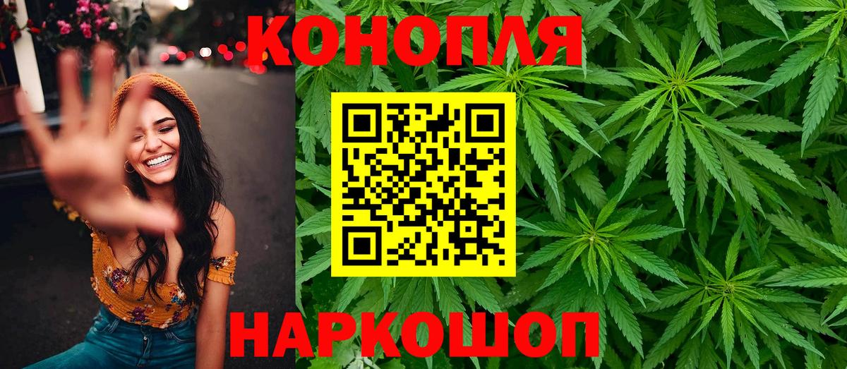 Бошки марихуана конопля Качканар